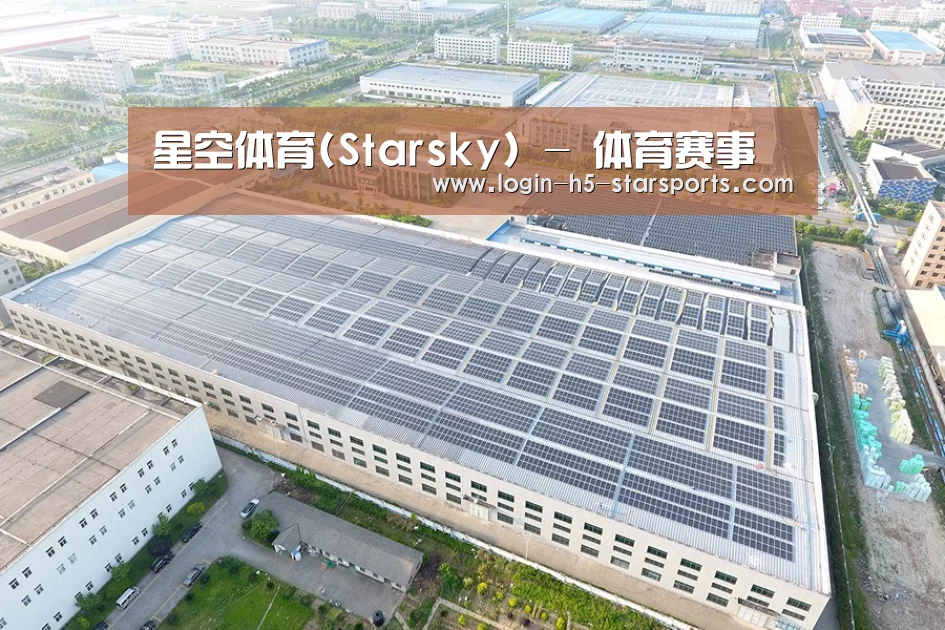 案例展示二