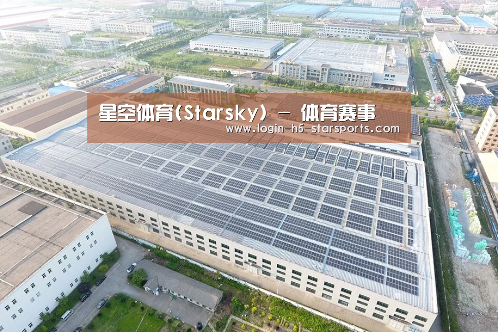 案例展示一