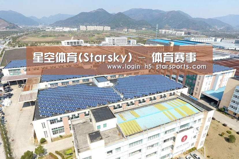 案例展示二