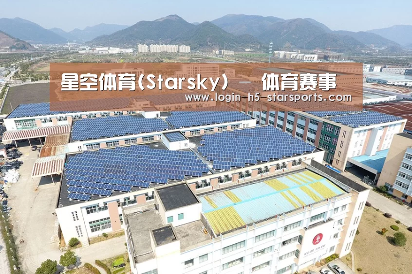 案例展示一