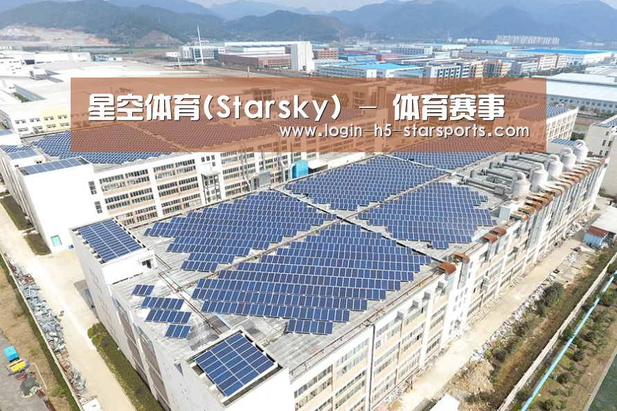 案例展示一