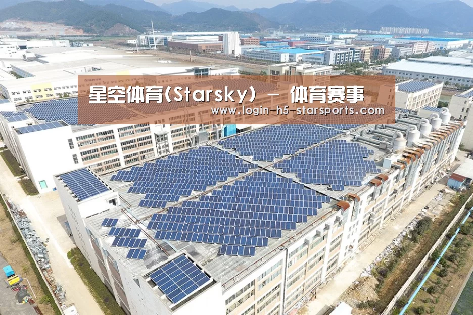 案例展示三
