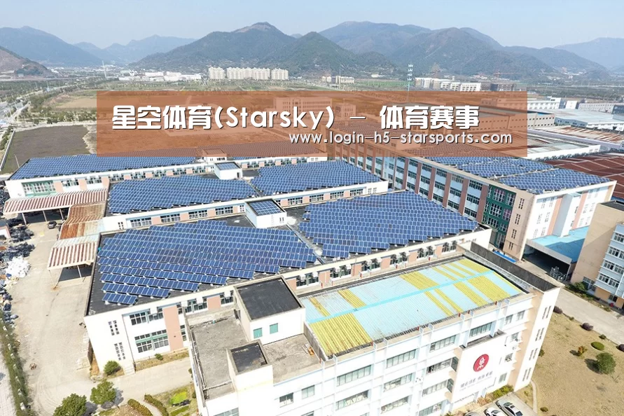案例展示四