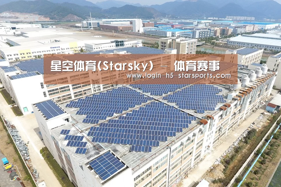 案例展示四