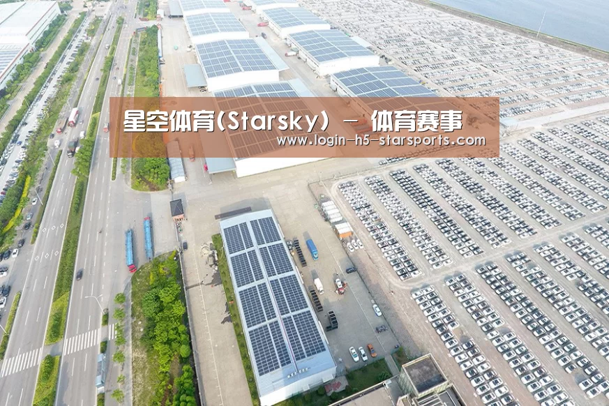 案例展示一