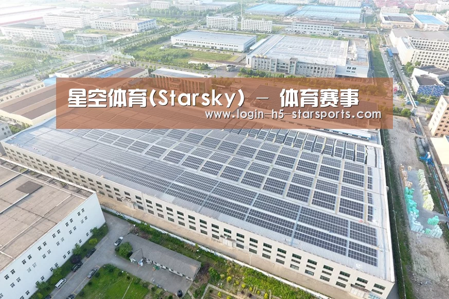 案例展示二