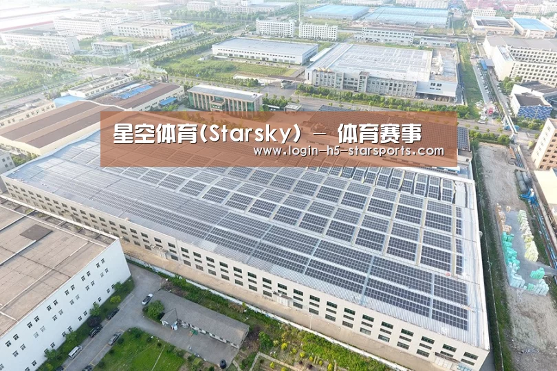 案例展示三