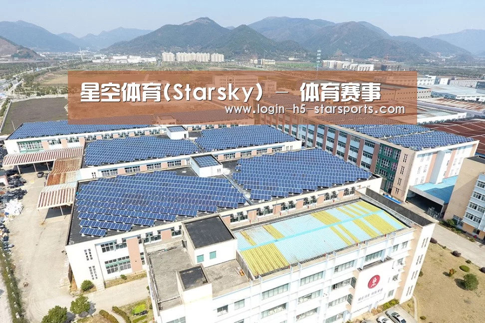案例展示三