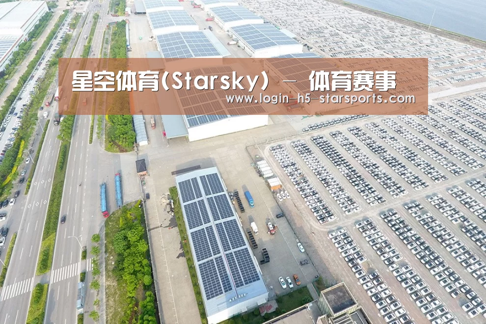 案例展示四
