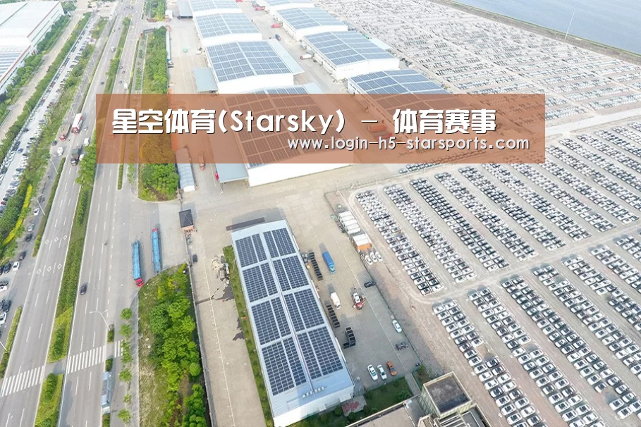 案例展示二