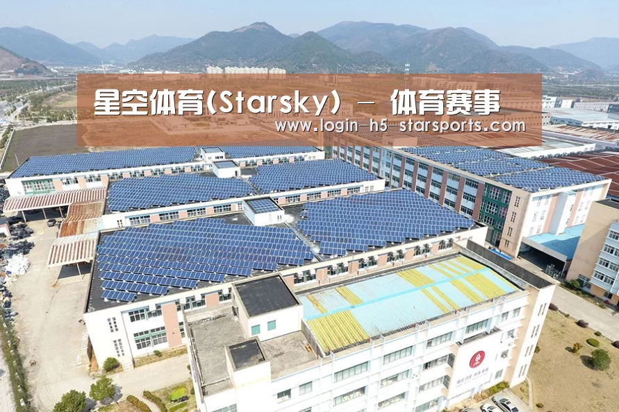 案例展示三
