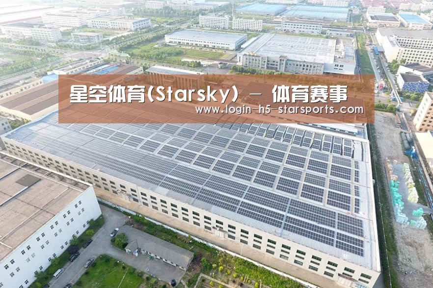 案例展示四